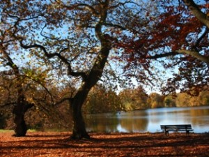 27_Herbst