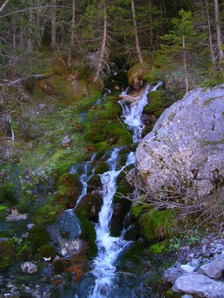 Ein Wasserfall stürzt sanft über moosbewachsene Felsen in einem grünen Wald.